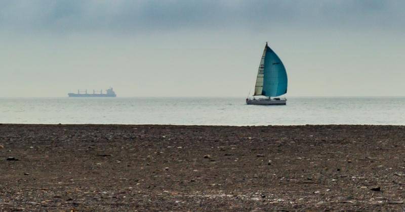 Freepik/mario_luengo